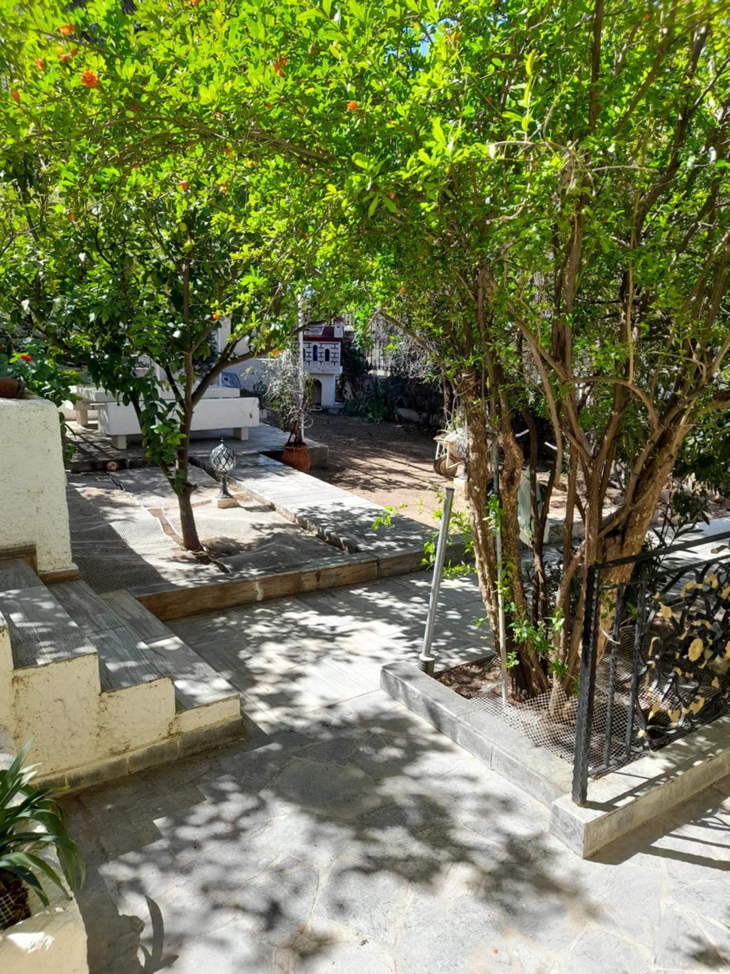 Αίγινα Εξοχική Κατοικία Eginitissa ภายนอก รูปภาพ
